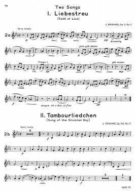 advanced method horn 2_8