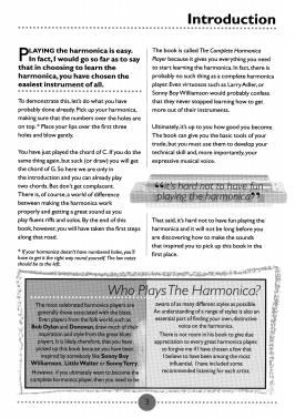complete harmonica player_2