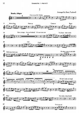 mozart horn concerto 1 (gs)_8