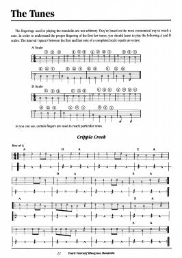 teach yourself bluegrass mandolin_7
