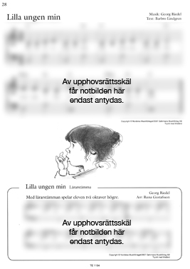 Piajagrev-1_28.jpg