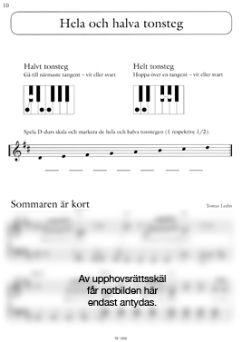 Piajagrev-3_10.jpg