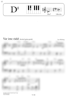 Piajagrev-3_12.jpg