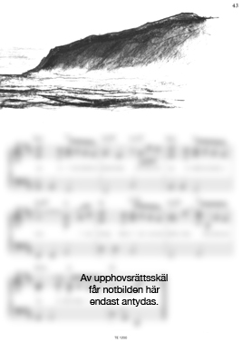 Piajagrev-3_43.jpg