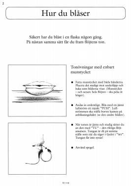 fl&ouml;jten och jag 1_2