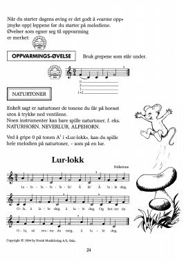 gran hornskole 1_7