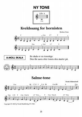 gran hornskole 1_8