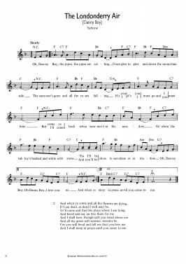 irish music for recorder_3